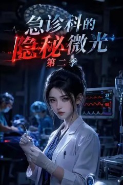 急诊科的隐秘微光第二季