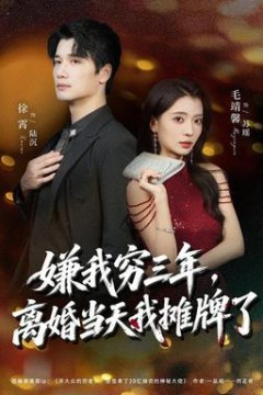 嫌我穷三年，离婚当天我摊牌了