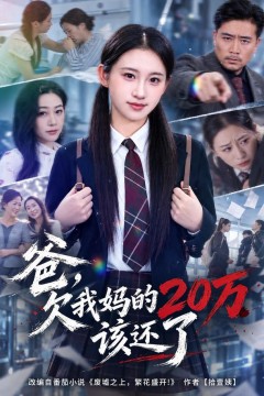 爸,欠我妈的20万该还了