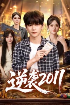 逆袭2011