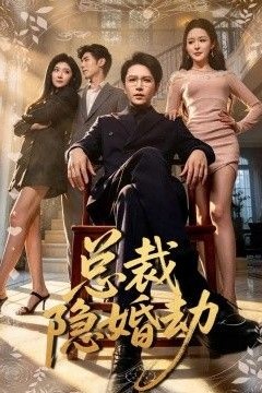 总裁隐婚劫