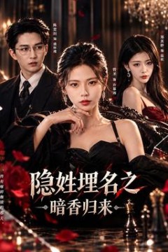 隐姓埋名之暗香归来