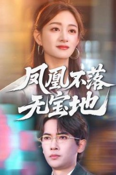 凤凰不落无宝地